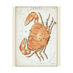Sidney Hall 'Cancer' Poster