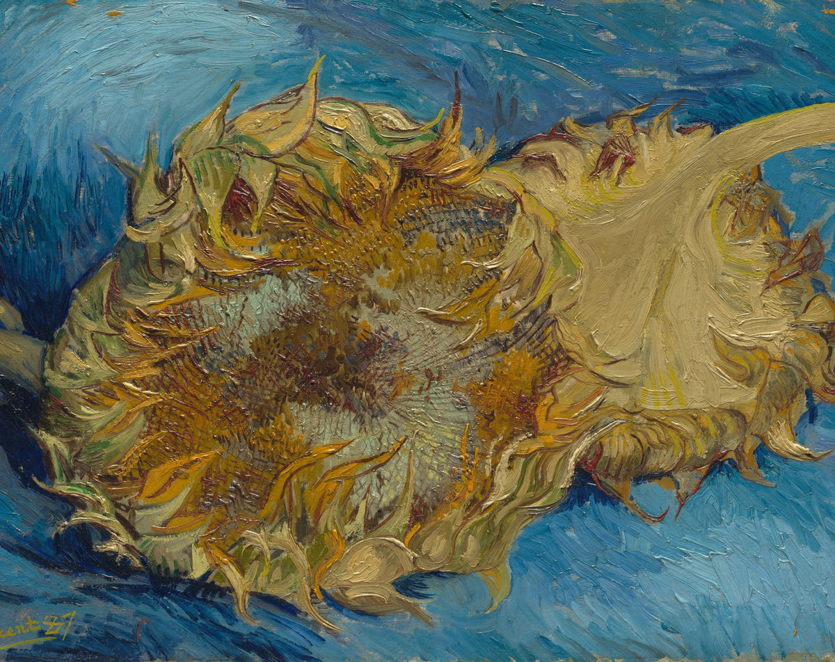 Sunflowers original artwork