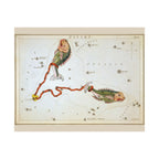 Sidney Hall 'Pisces' Poster