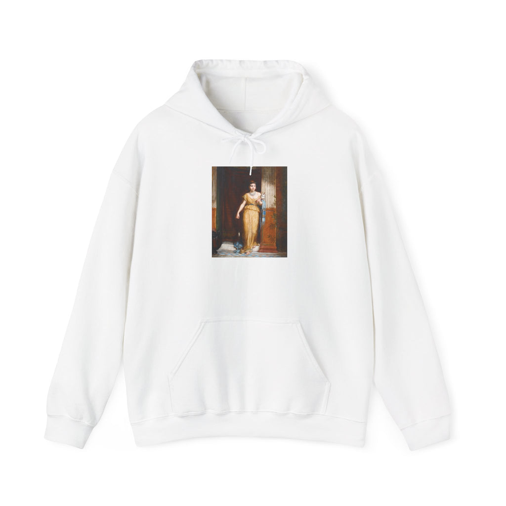 The Spinner Hoodie
