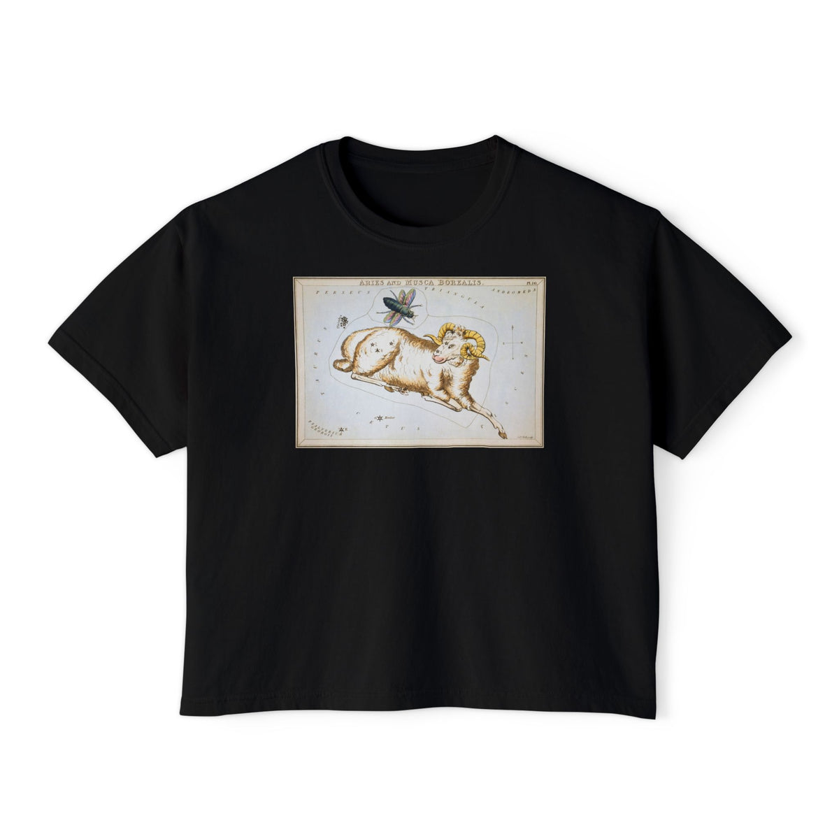 Aries Zodiac Boxy Tee