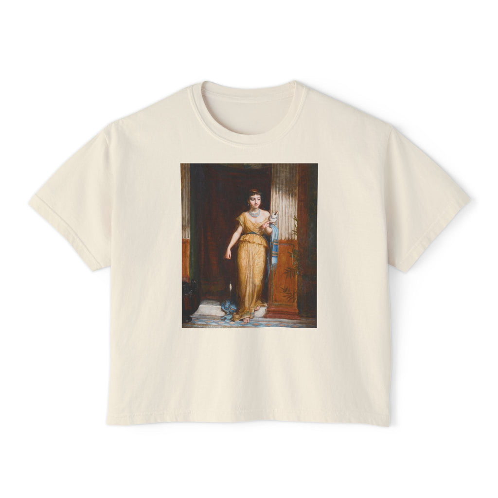 The Spinner Boxy Tee