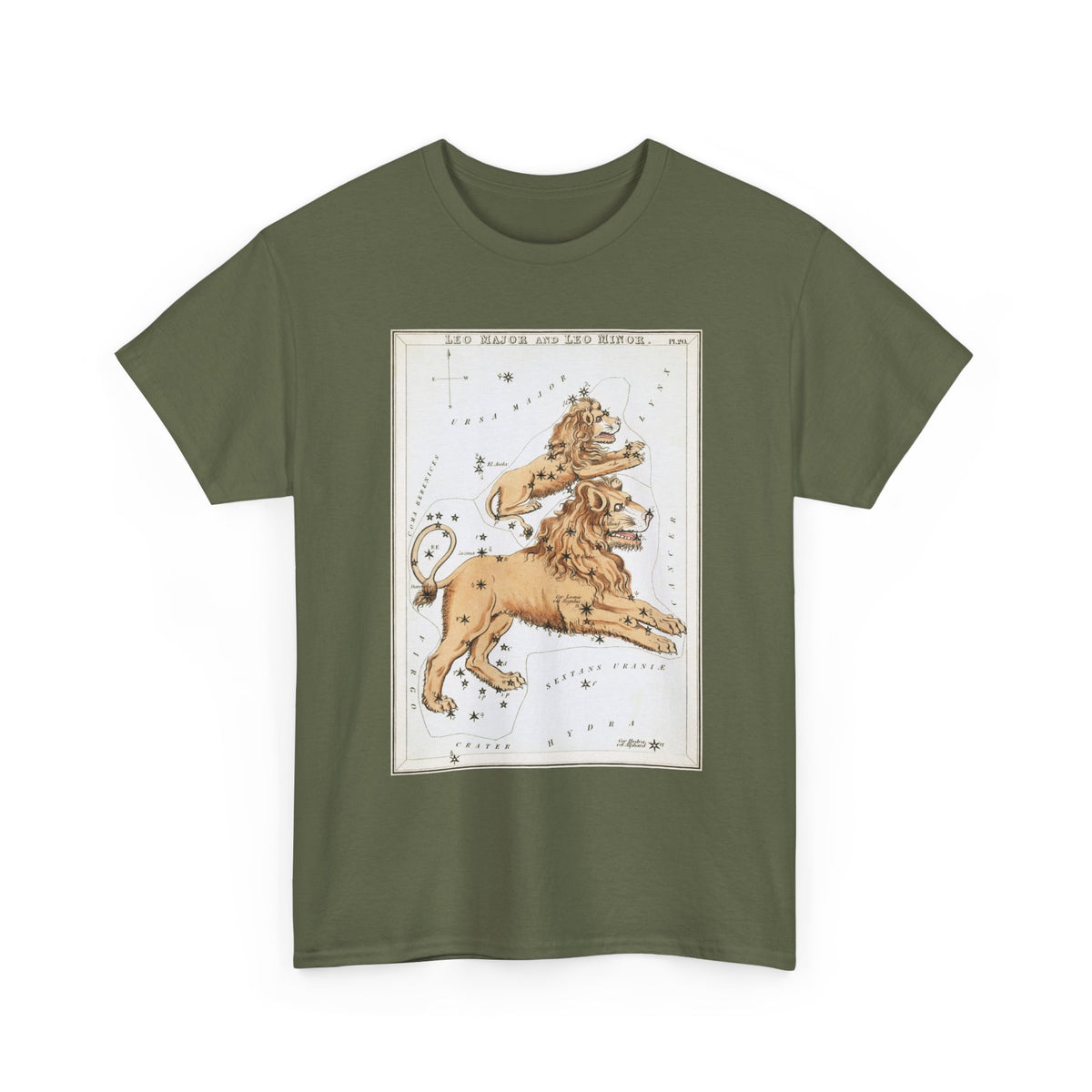 Leo Zodiac Shirt
