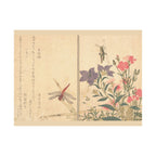 Kitagawa Utamaro 'Red Dragonfly and Locust' Poster