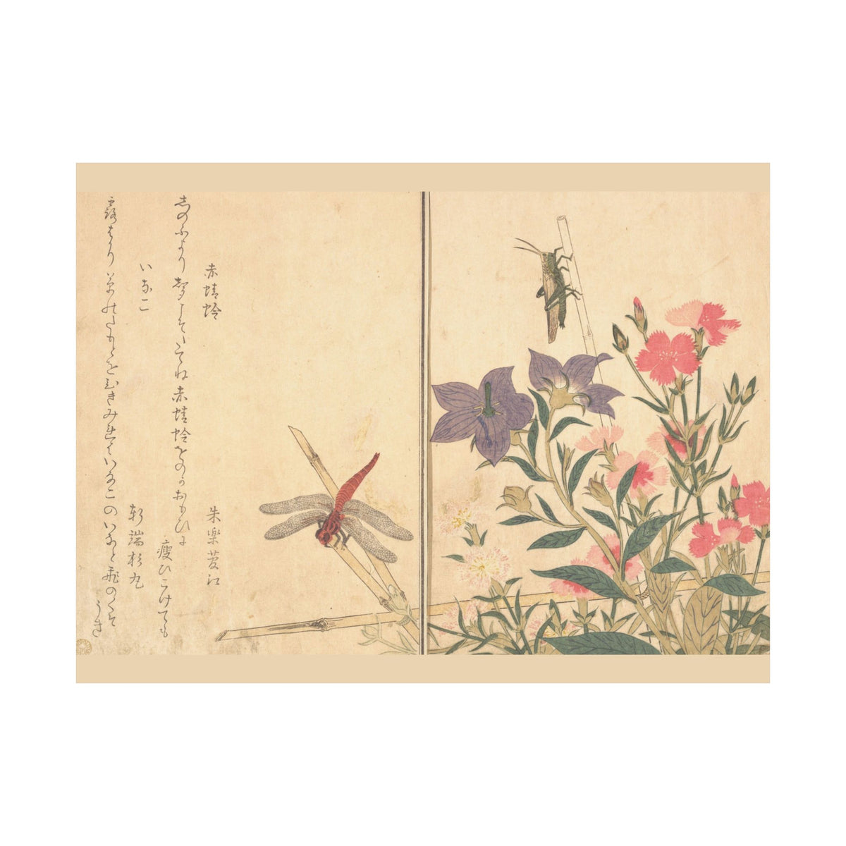 Kitagawa Utamaro 'Red Dragonfly and Locust' Poster