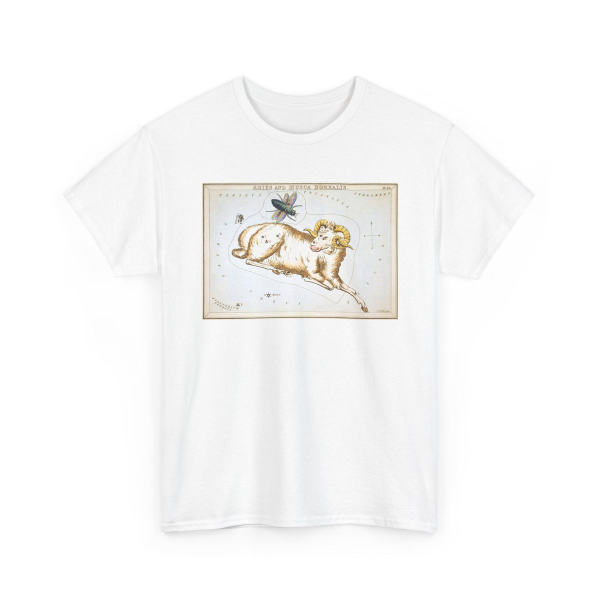 Aries Zodiac Shirt