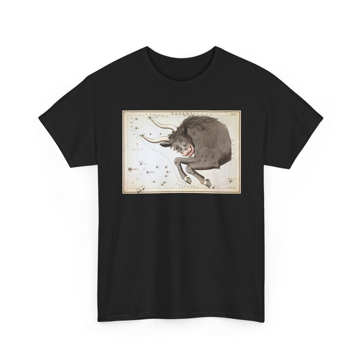 Taurus Zodiac Shirt