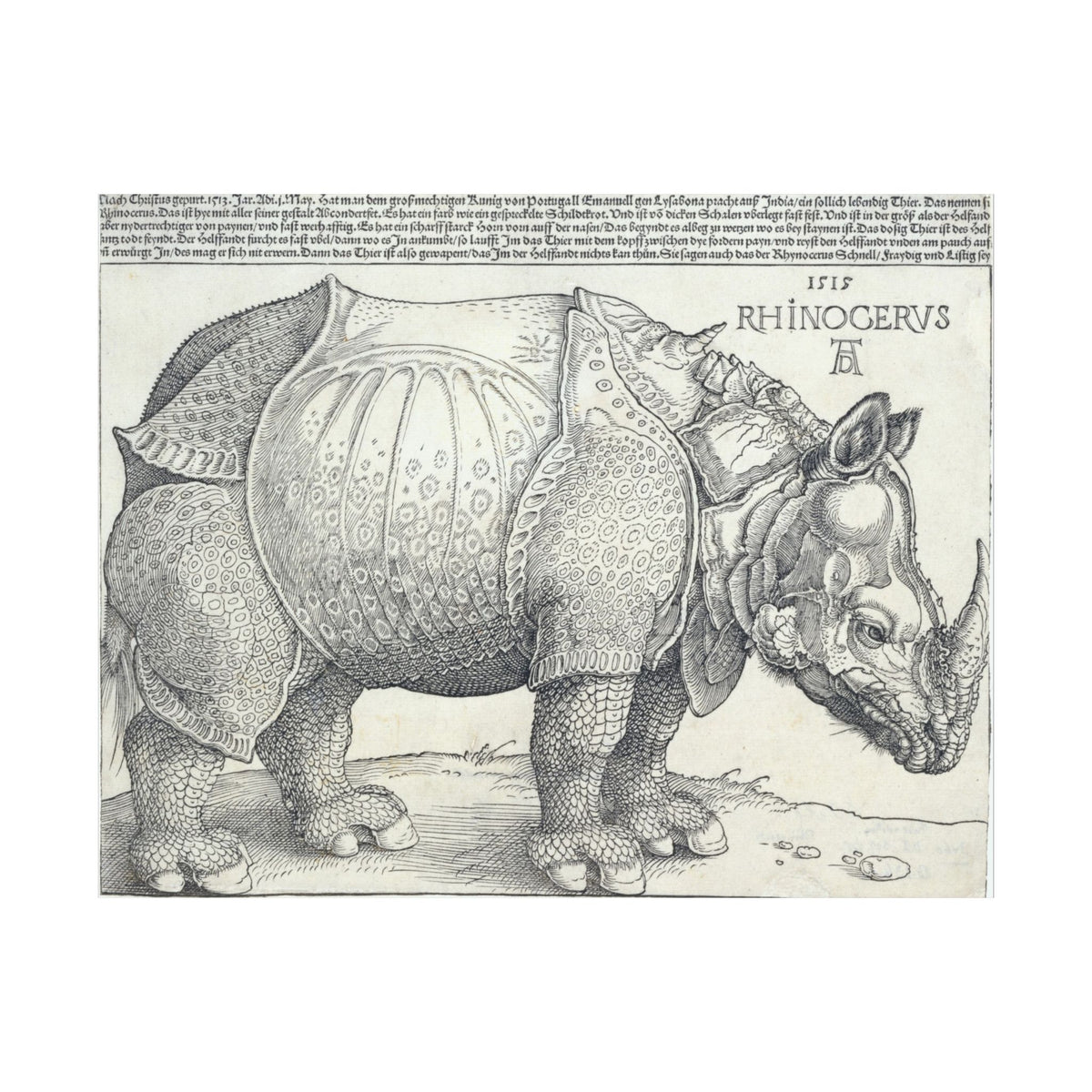 Albrecht Dürer 'The Rhinoceros' Poster