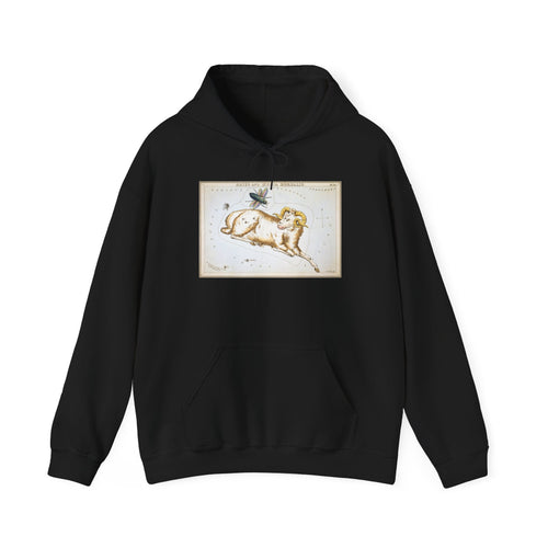 Aries Zodiac Hoodie