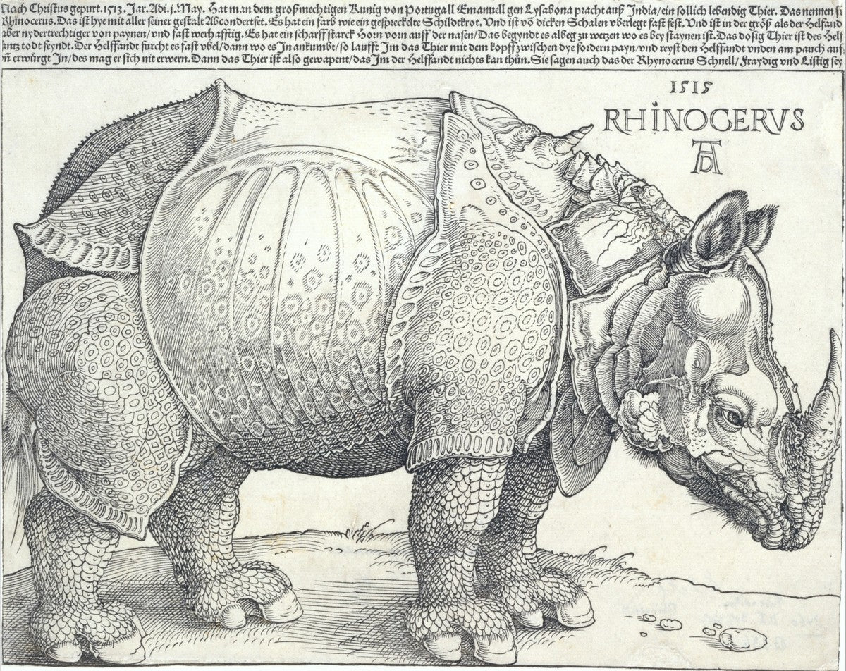 The Rhinoceros original artwork