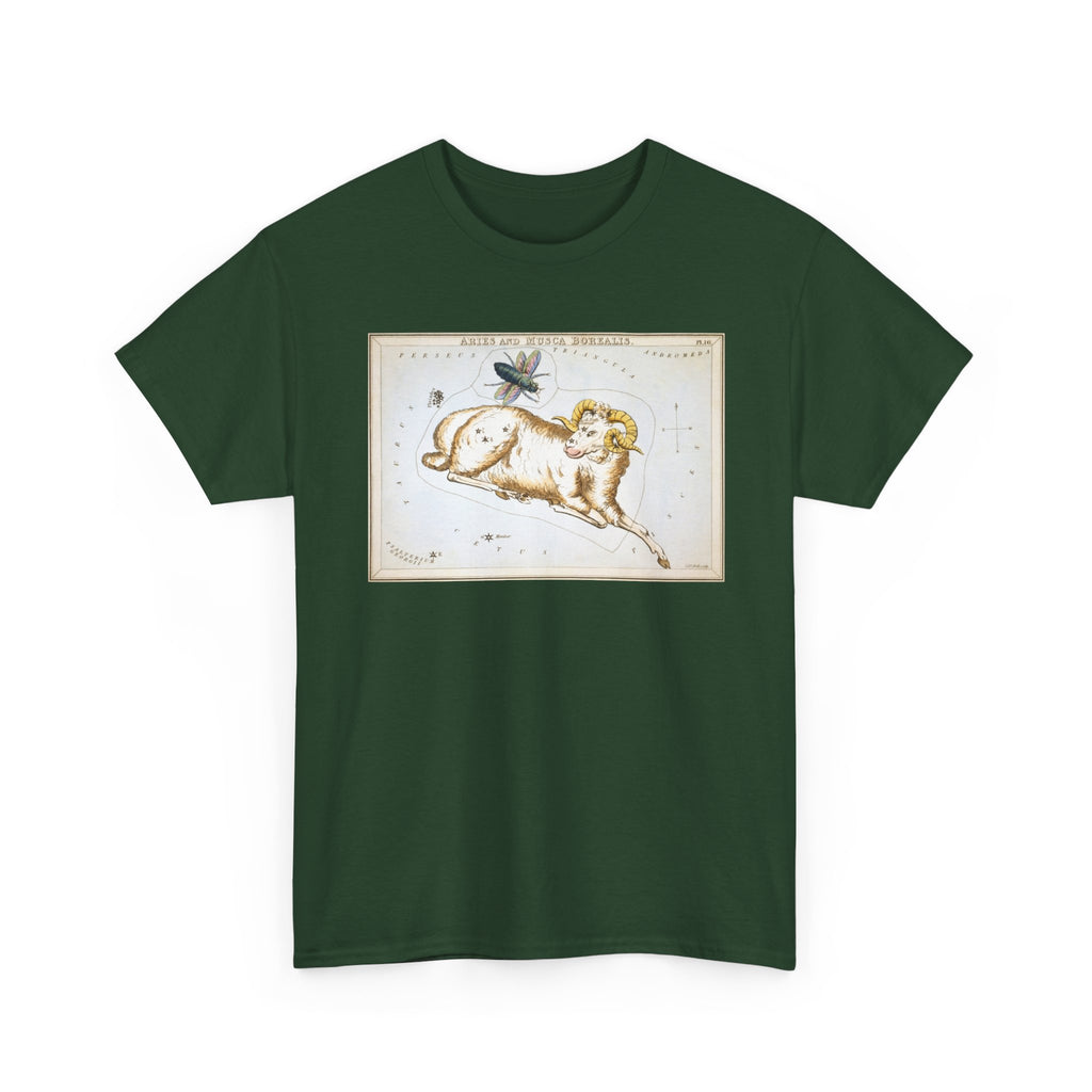 Aries Zodiac Shirt