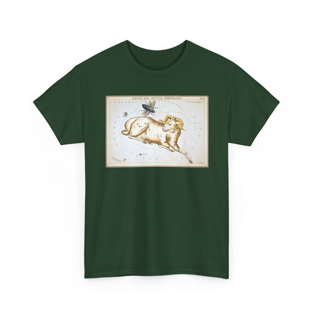 Aries Zodiac Shirt