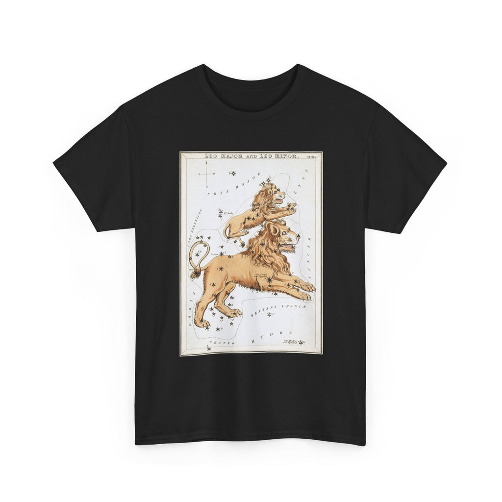 Leo Zodiac Shirt