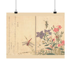 Kitagawa Utamaro 'Red Dragonfly and Locust' Poster