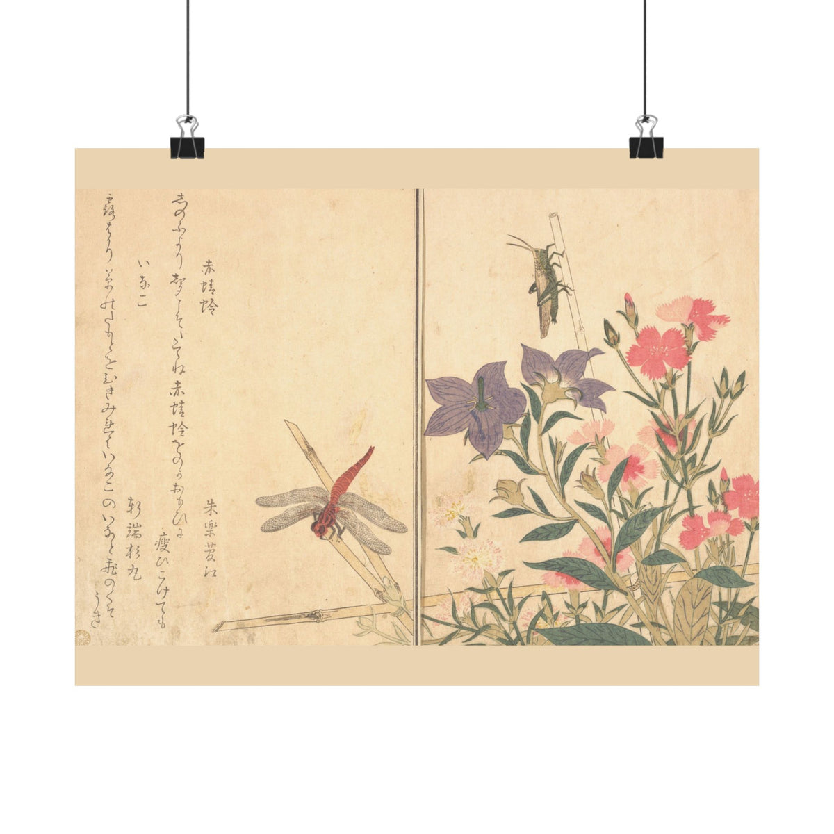 Kitagawa Utamaro 'Red Dragonfly and Locust' Poster
