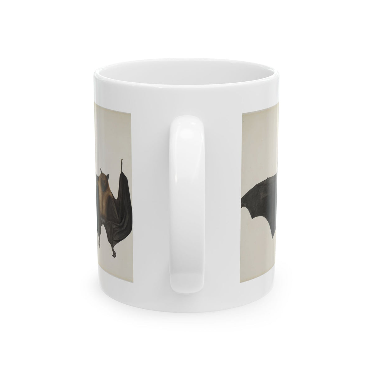 Bhawani Das 'Great Indian Fruit Bat' Mug
