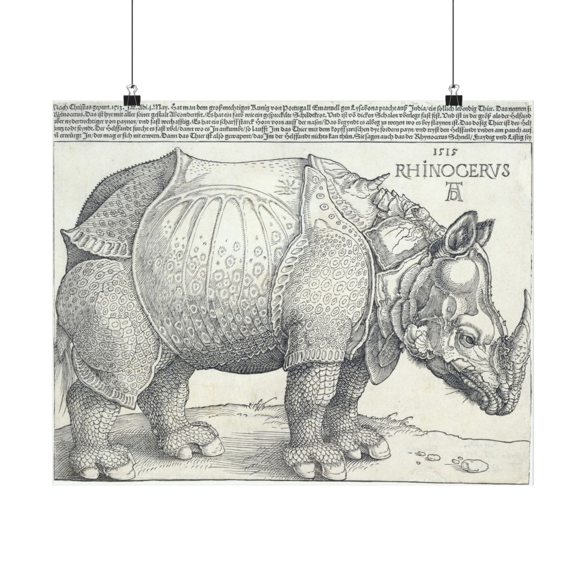 Albrecht Dürer 'The Rhinoceros' Poster