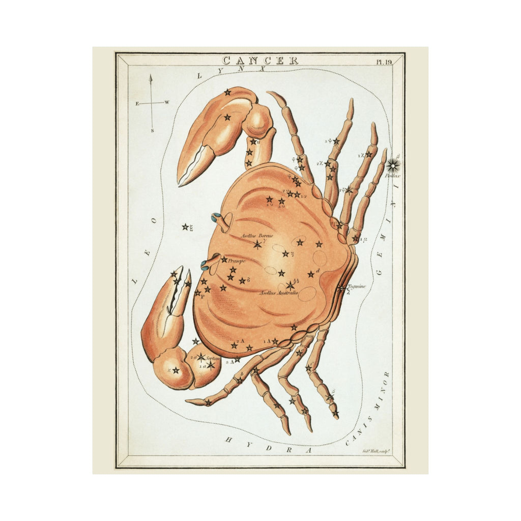 Sidney Hall 'Cancer' Poster
