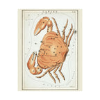 Sidney Hall 'Cancer' Poster