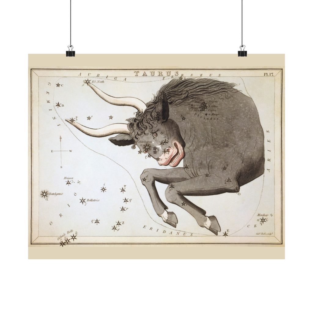 Sidney Hall 'Taurus' Poster