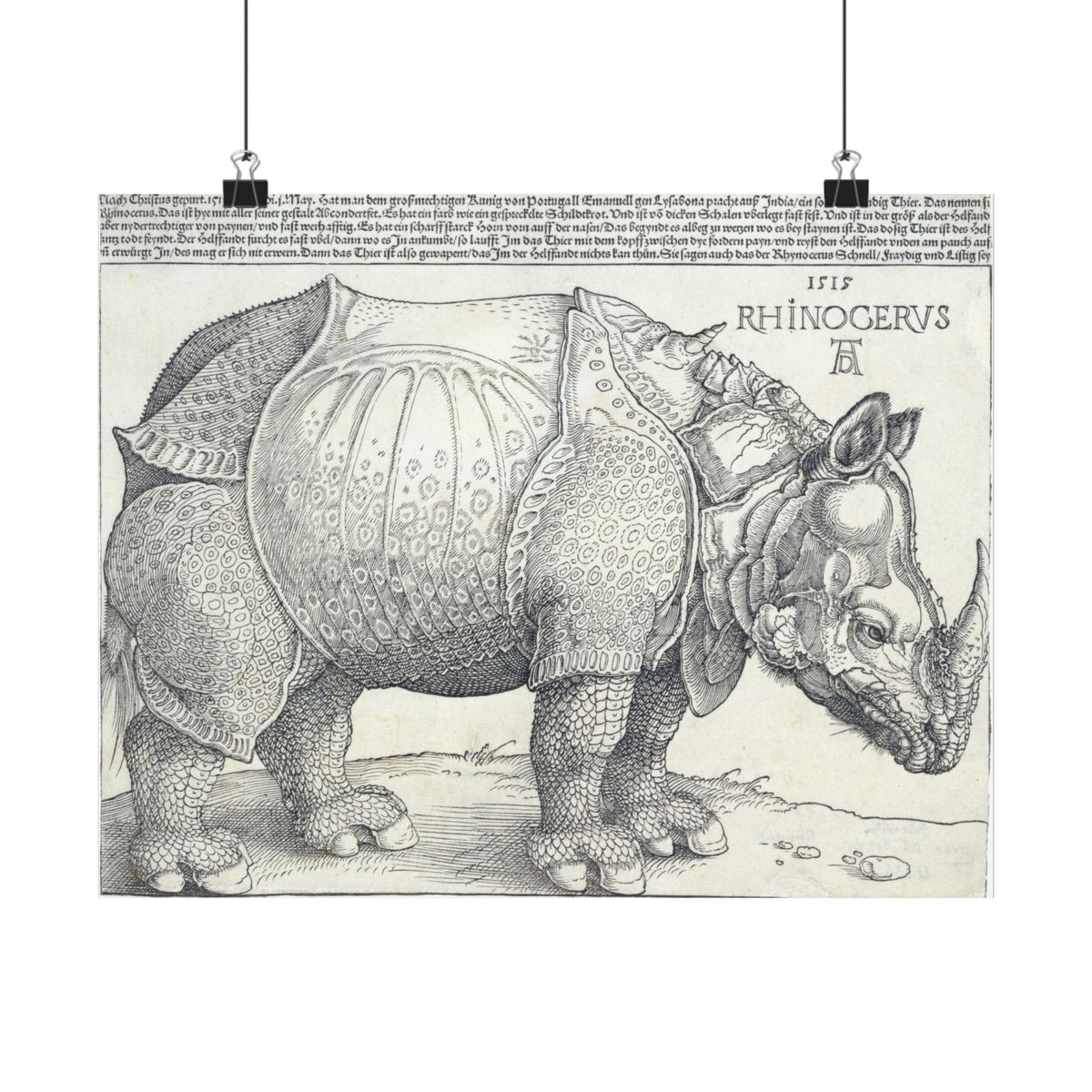 Albrecht Dürer 'The Rhinoceros' Poster