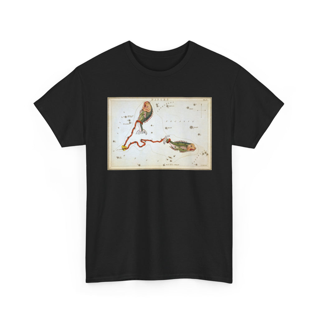 Pisces Zodiac Shirt