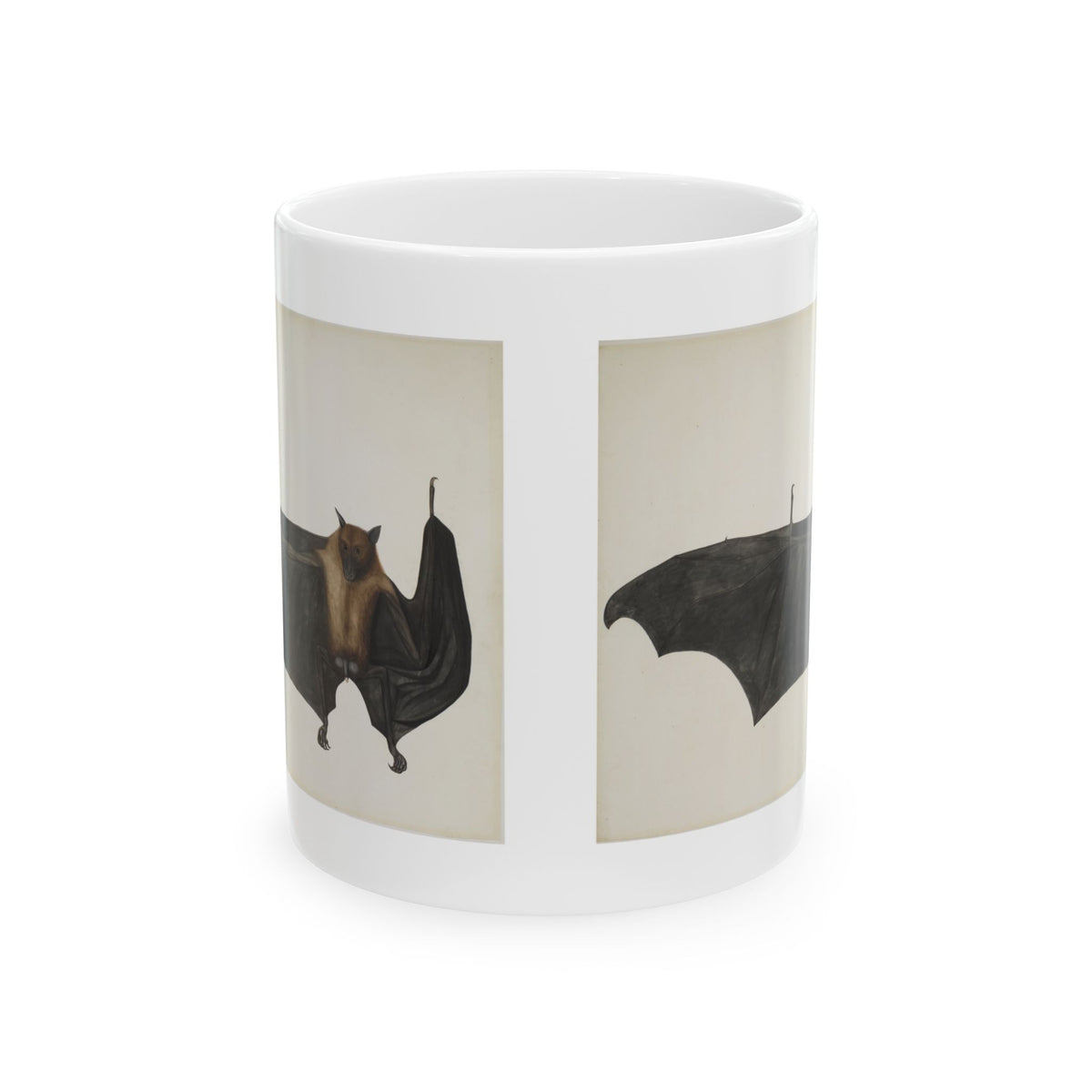Bhawani Das 'Great Indian Fruit Bat' Mug