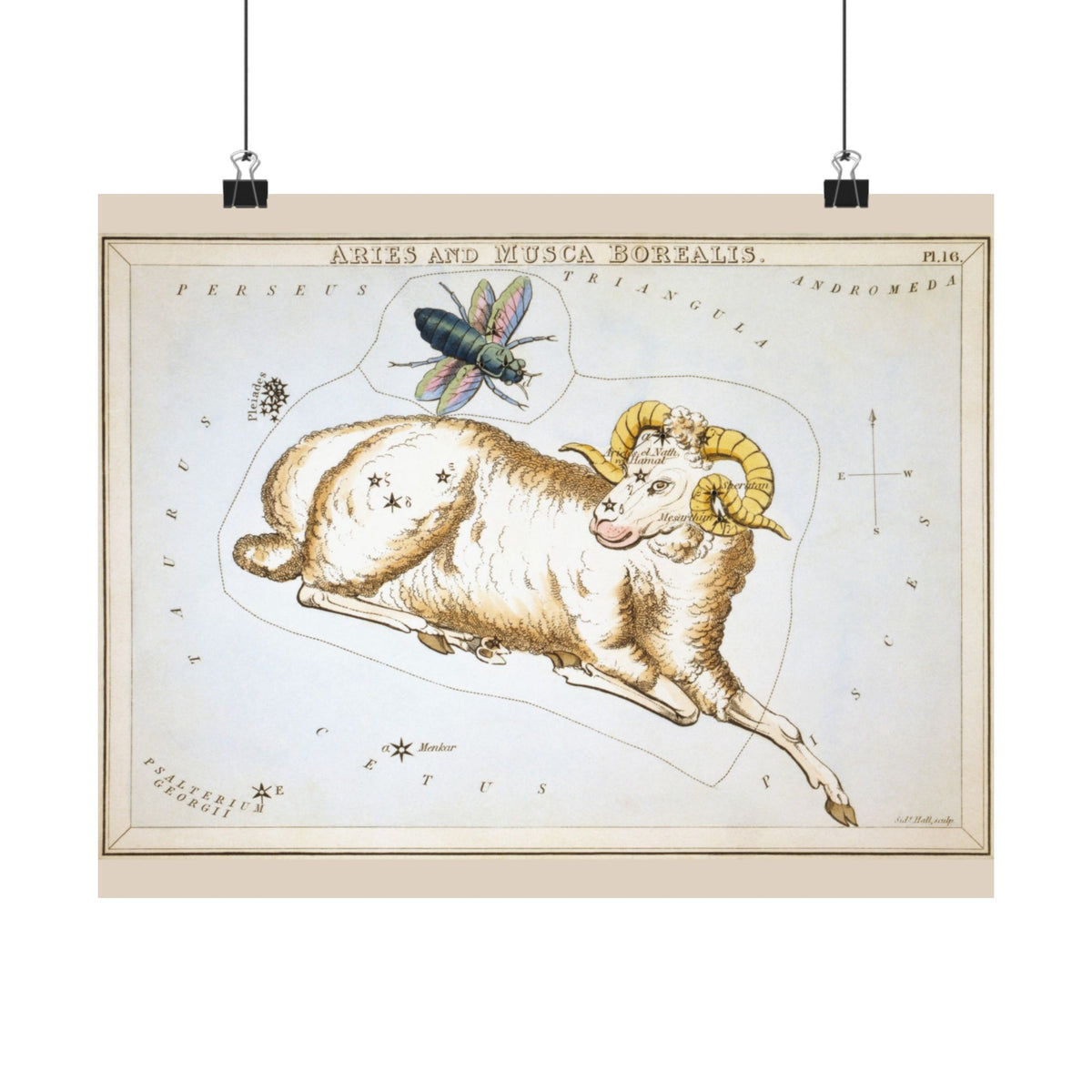 Sidney Hall 'Aries' Poster