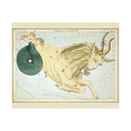 Sidney Hall 'Capricorn' Poster
