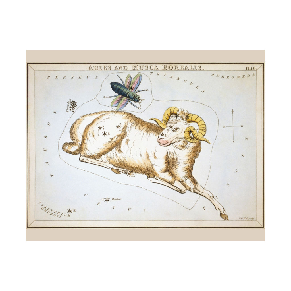 Sidney Hall 'Aries' Poster