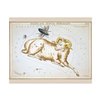 Sidney Hall 'Aries' Poster