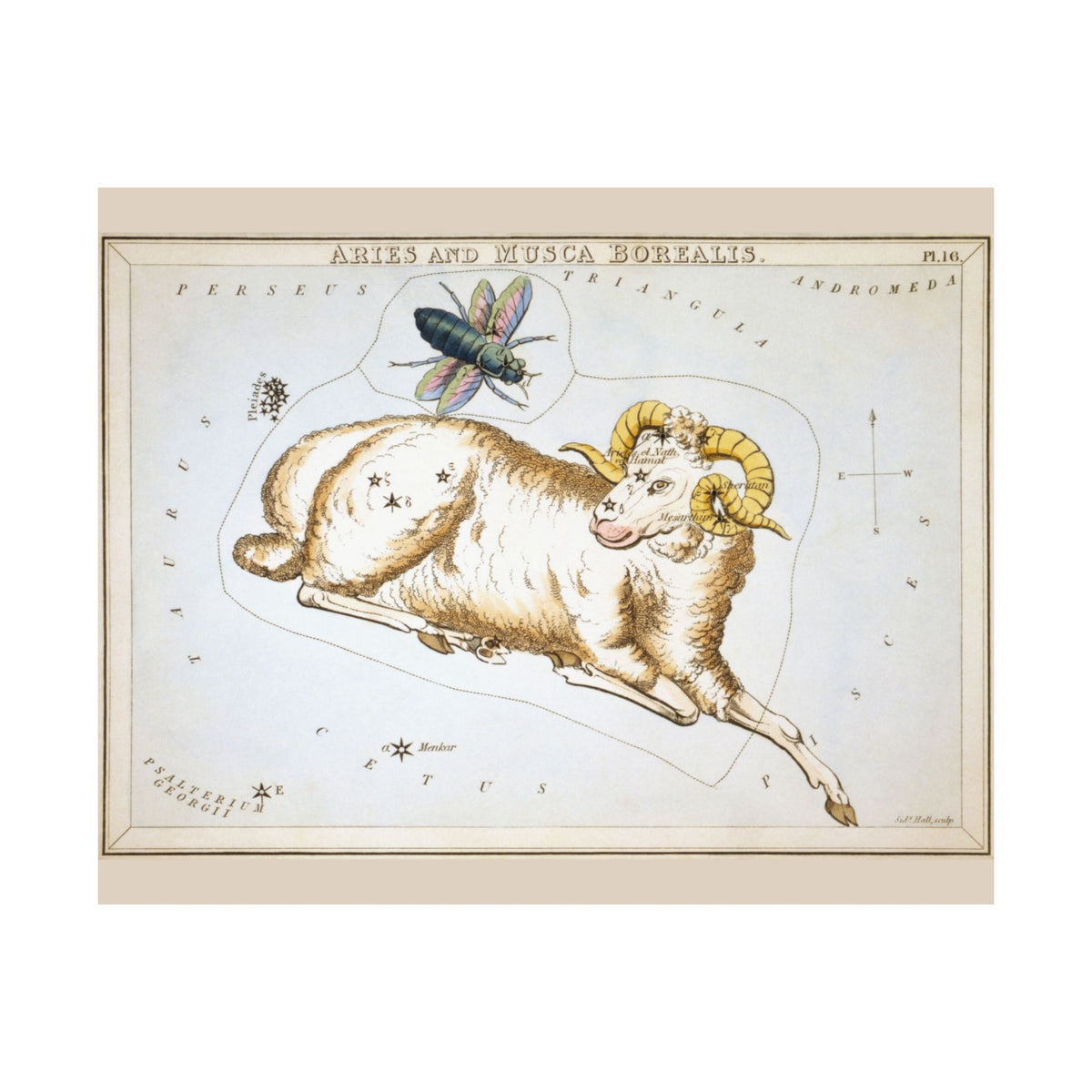 Sidney Hall 'Aries' Poster