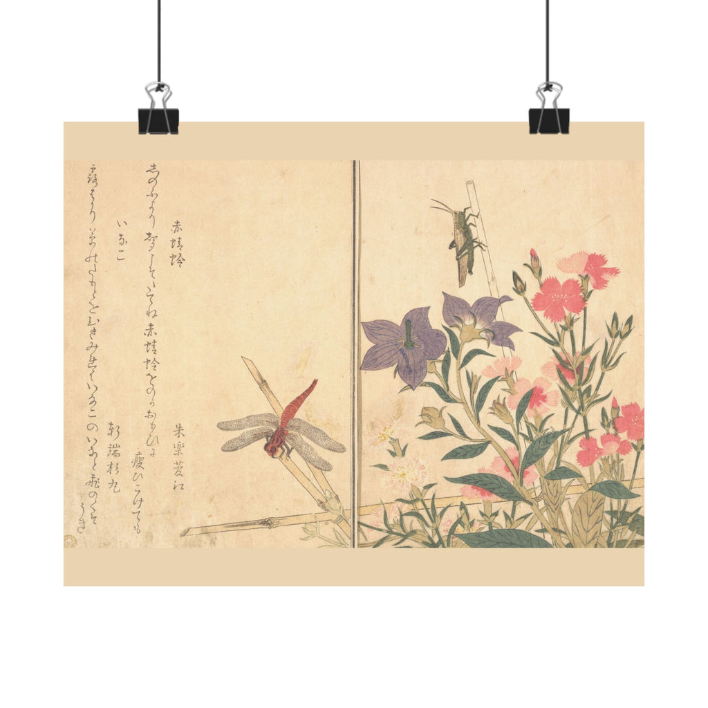 Kitagawa Utamaro 'Red Dragonfly and Locust' Poster