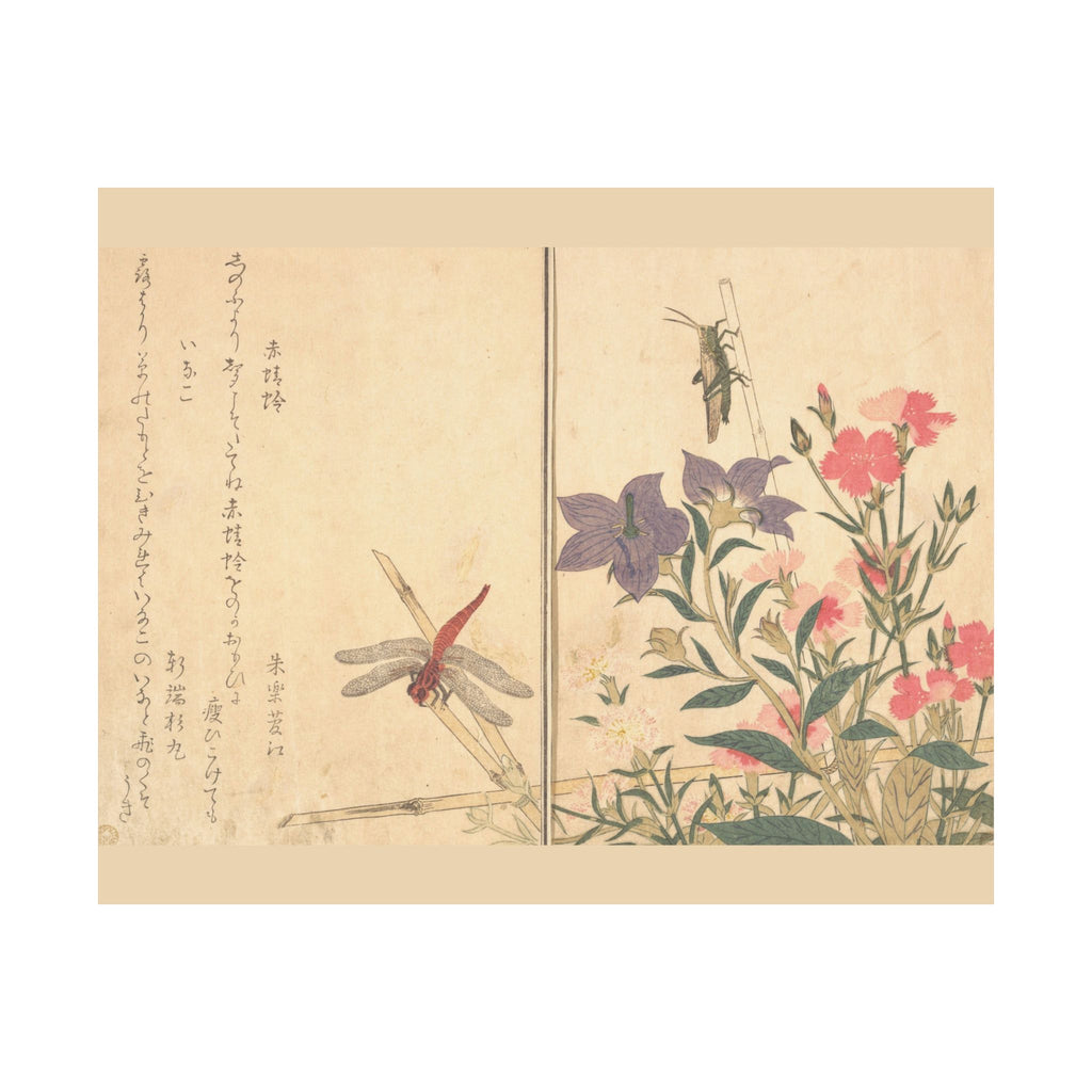 Kitagawa Utamaro 'Red Dragonfly and Locust' Poster