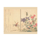 Kitagawa Utamaro 'Red Dragonfly and Locust' Poster