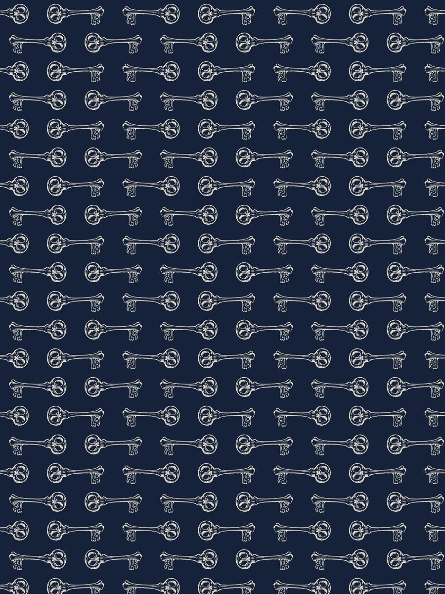 Skeleton Key Pattern (pattern artwork)
