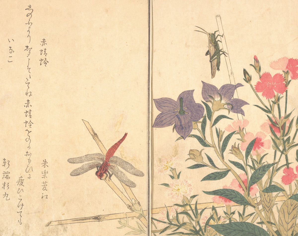 Red Dragonfly and Locust original artwork