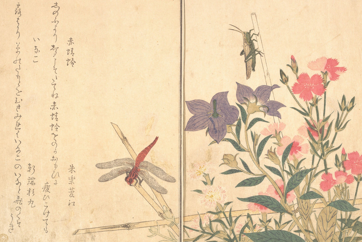 Red Dragonfly and Locust original artwork