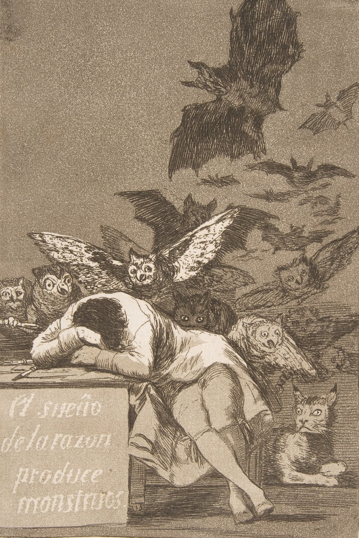 The Sleep of Reason Produces Monsters by Francisco Goya (original artwork)