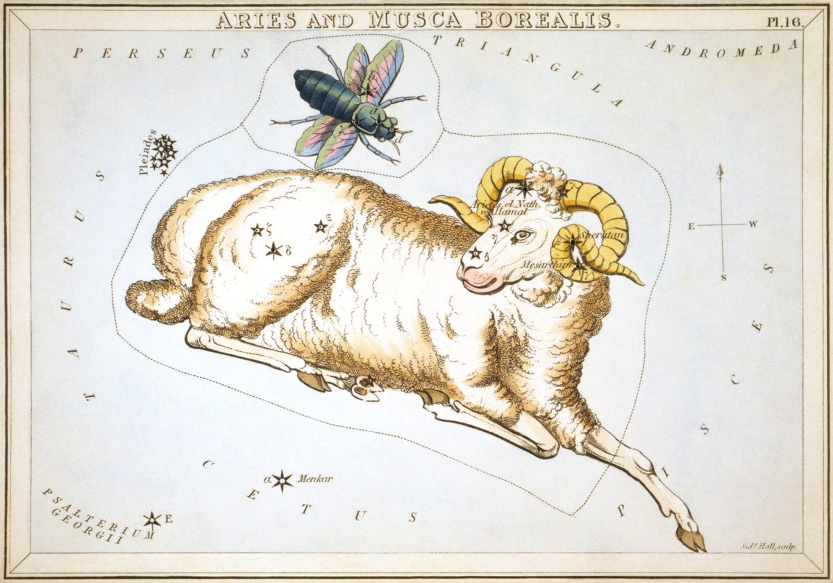 Aries by Sidney Hall (original artwork)