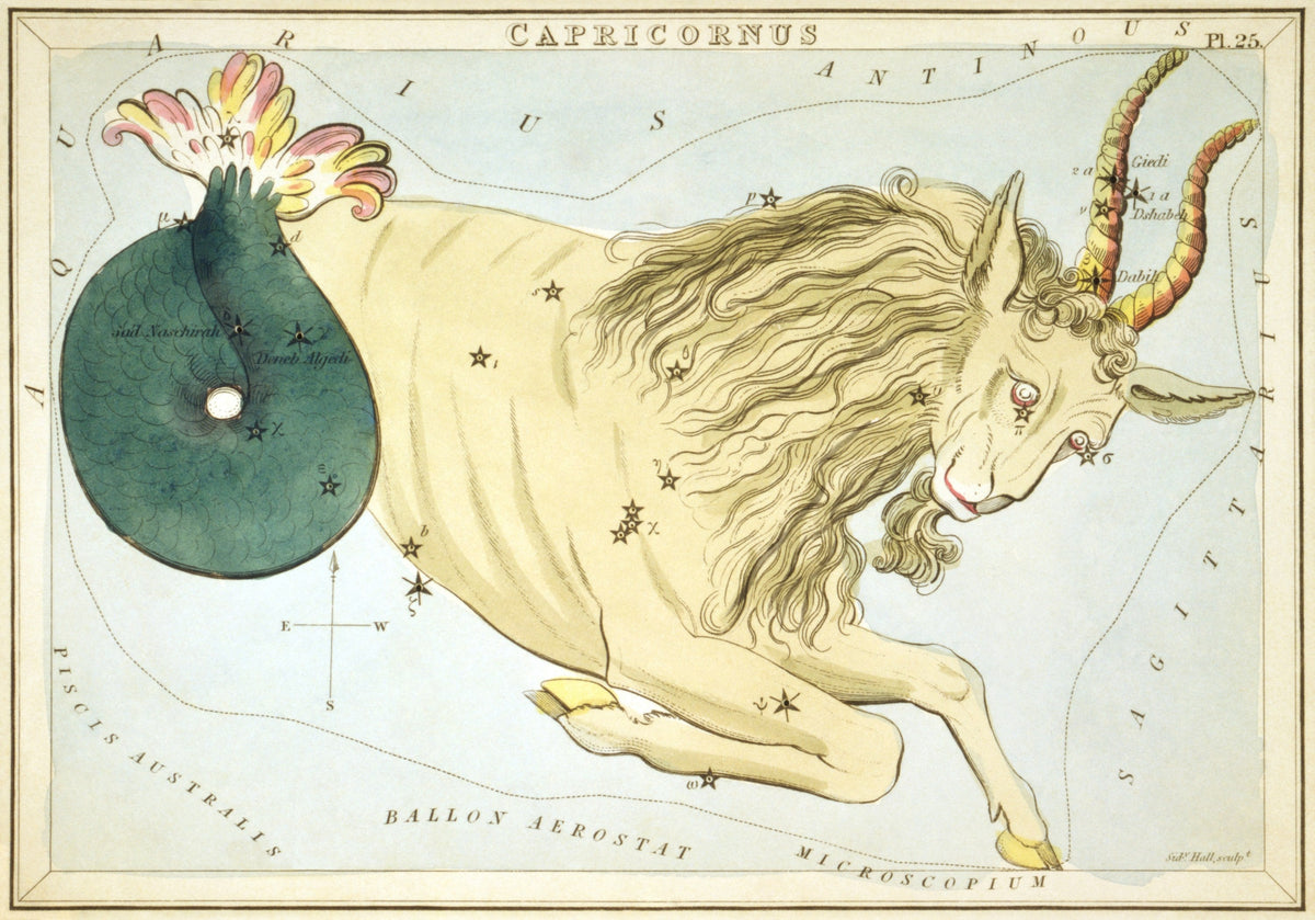 Capricorn by Sidney Hall (original artwork)