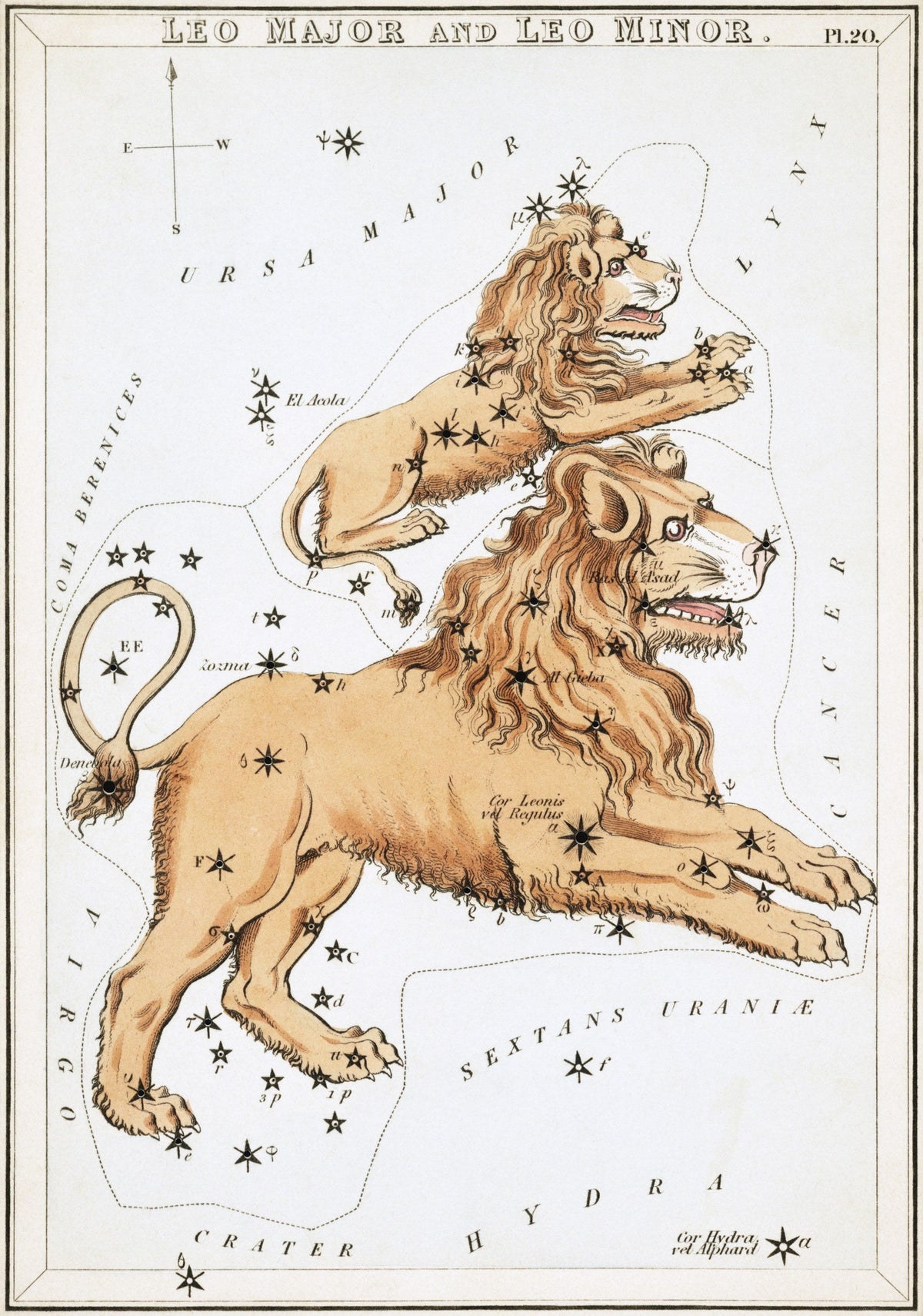 Leo by Sidney Hall (original artwork)