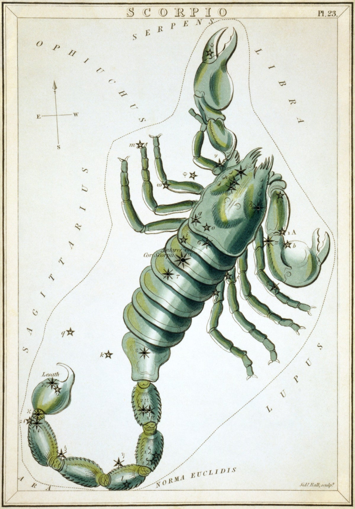 Scorpio by Sidney Hall (original artwork)